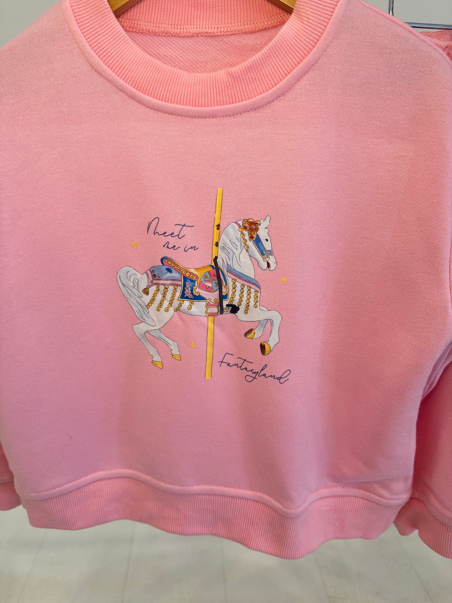 Meet me in Fantasyland ADULT Sweatshirt Set PREORDER SHIPPING EARLY NOVEMBER